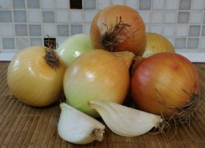 Лук репчатый