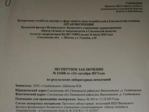 Лук репчатый